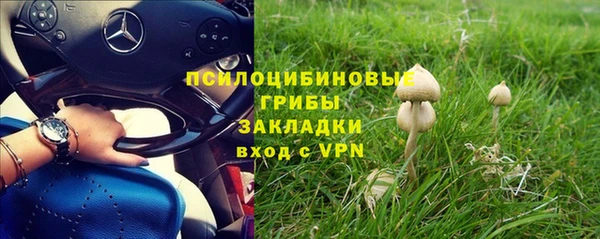 ПСИЛОЦИБИНОВЫЕ ГРИБЫ Абдулино