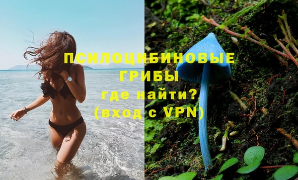 ПСИЛОЦИБИНОВЫЕ ГРИБЫ Абдулино